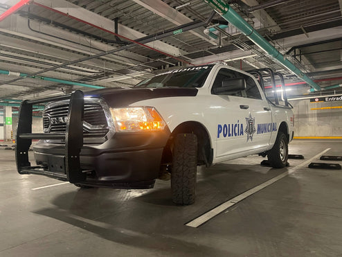 RAM POLICE