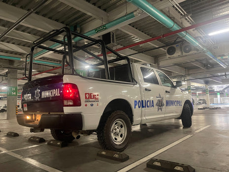 RAM POLICE