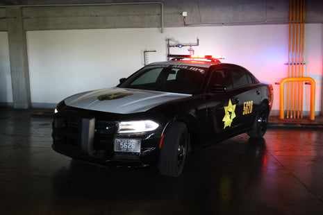 Charger police- Black viper