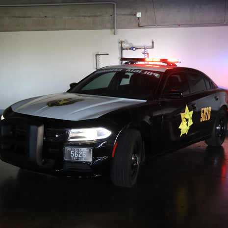 Charger police- Black viper