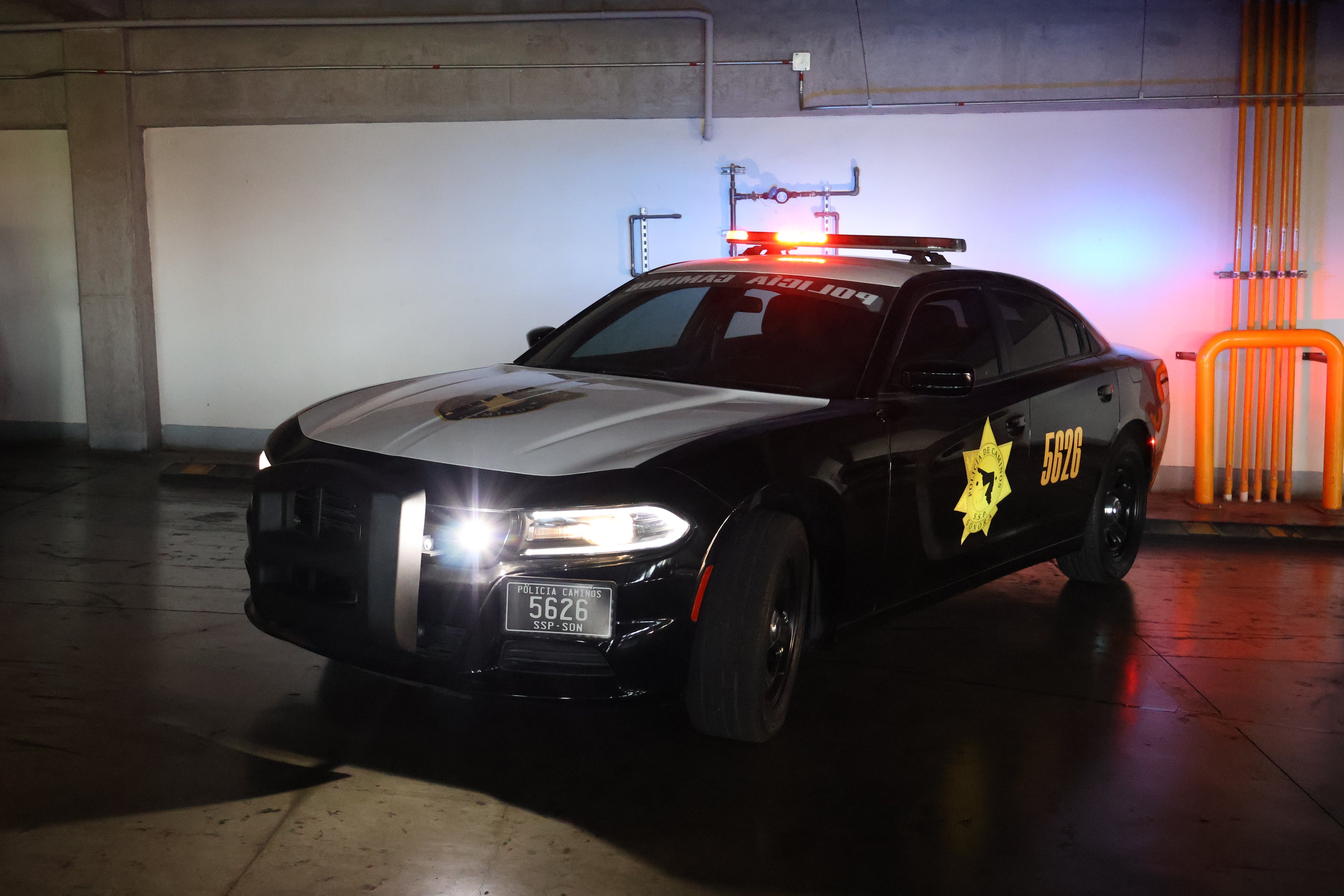 Charger police- Black viper