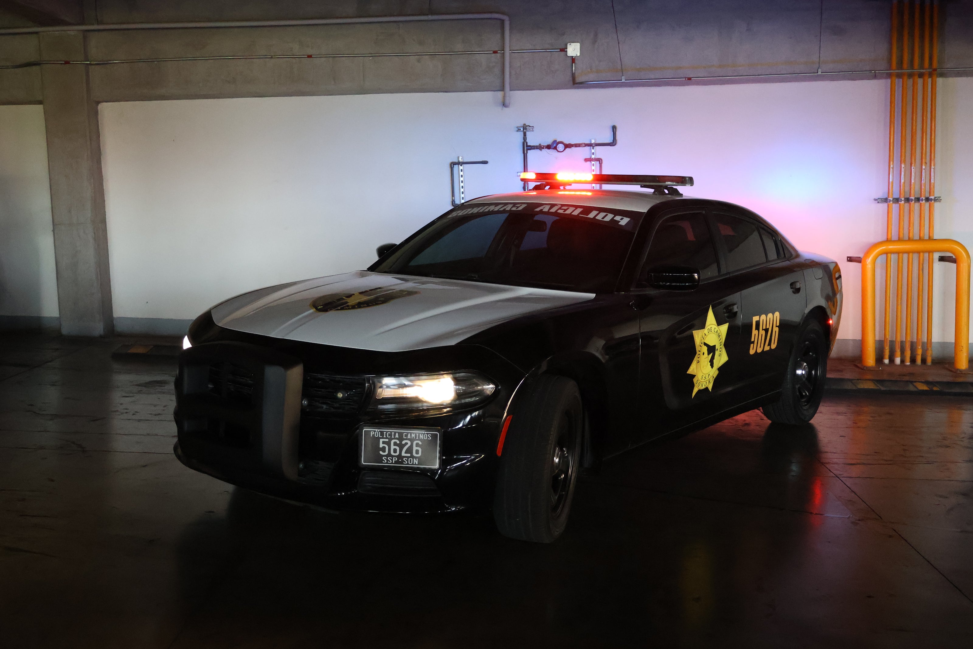 Charger police- Black viper
