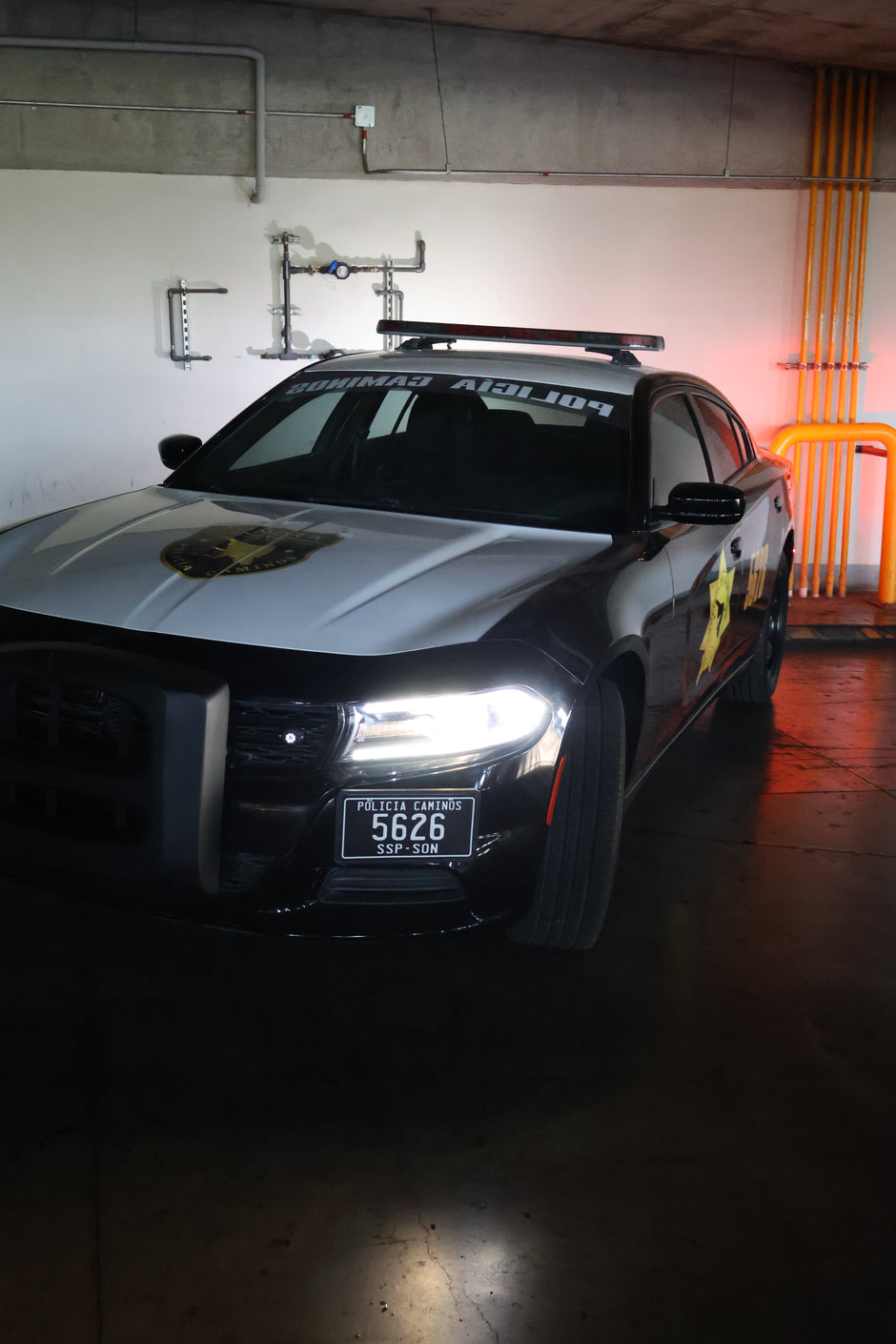 Charger police- Black viper