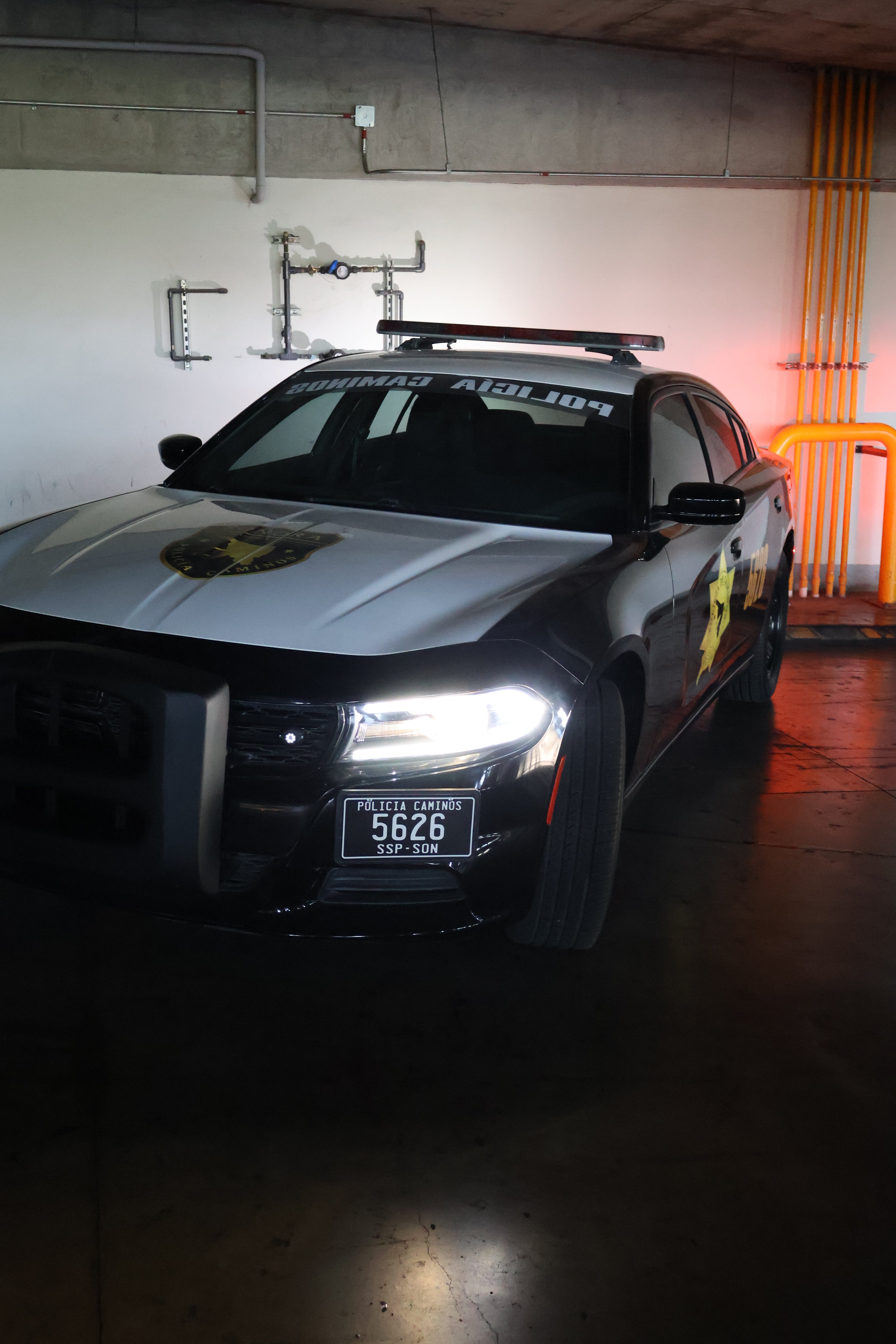 Charger police- Black viper