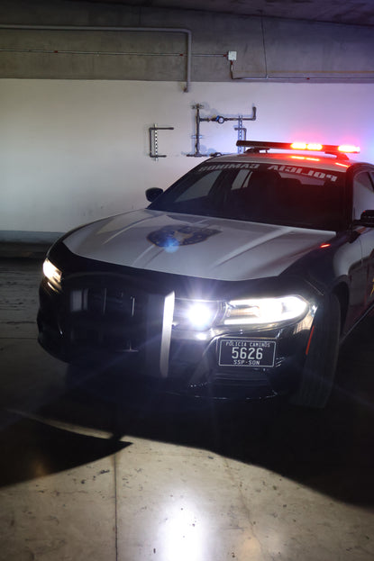 Charger police- Black viper