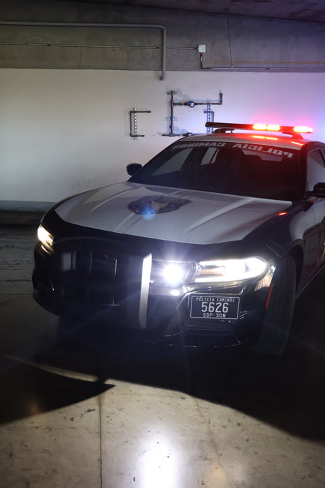 Charger police- Black viper