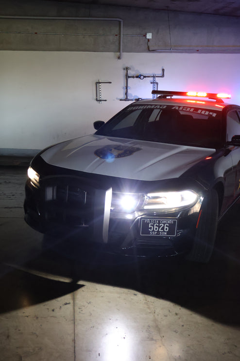 Charger police- Black viper