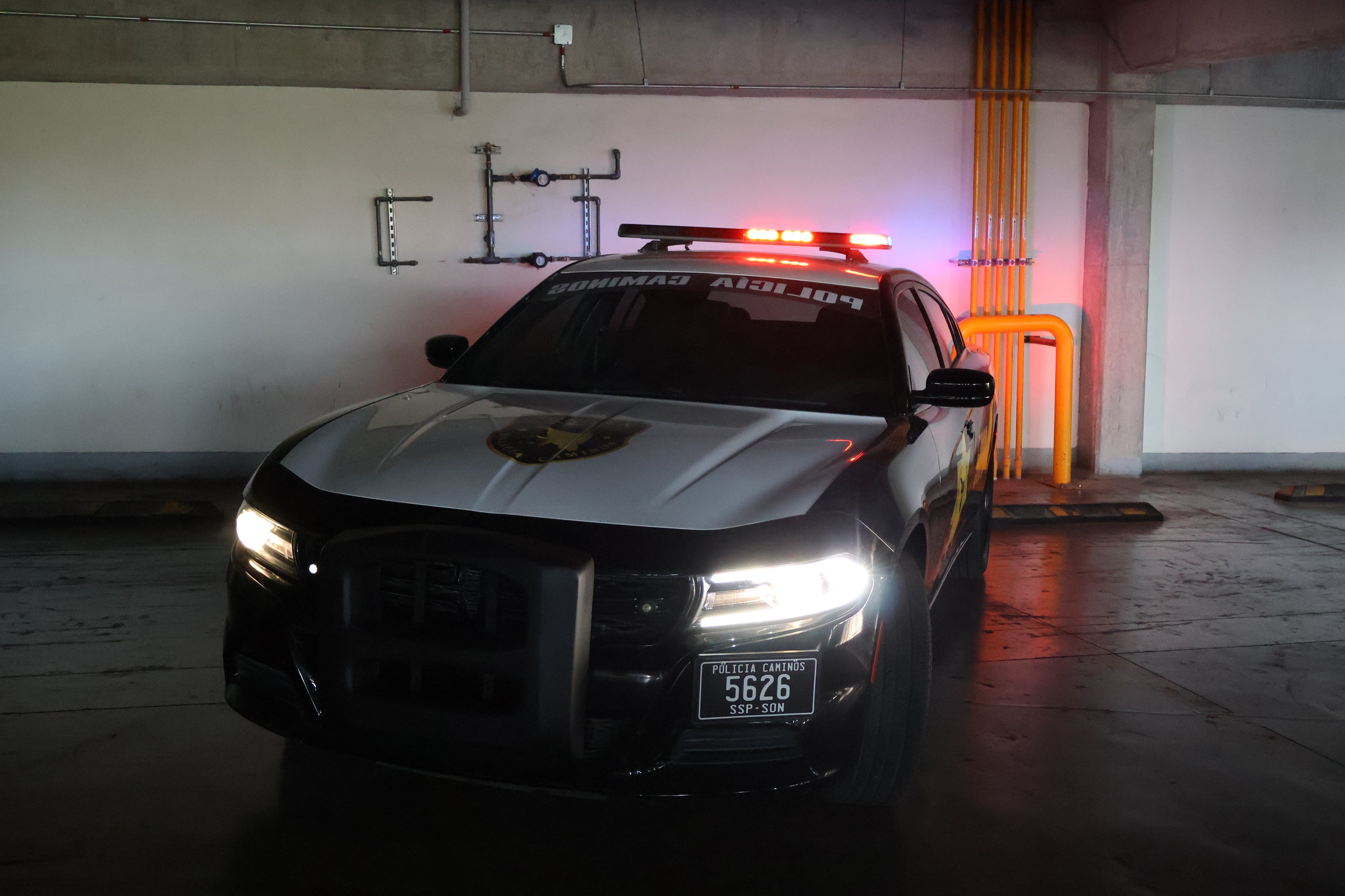 Charger police- Black viper