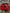 Nivel 3 - Jetta GLI Red Sentinel