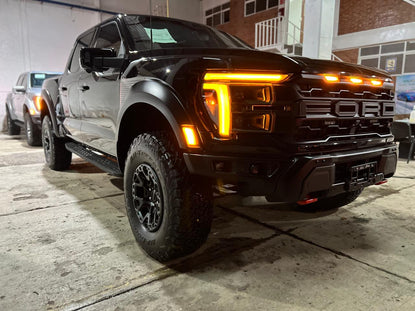 Nivel 5  - Raptor Dark Dominion