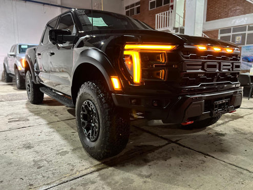 Nivel 5  - Raptor Dark Dominion